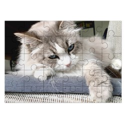 Individuell bedruckte Puzzles
